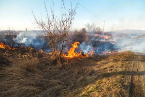 a large fire flame destroys dry land caused by the Texas Panhandle wildfires that have been spreading.